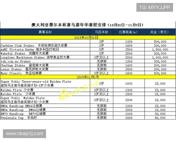 赛博体育娱乐官网的独特魅力与最新赛事动态不容错过