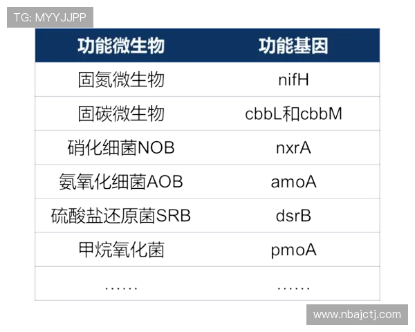 亿万体育网投用户真实评价分享帮助新手选择最适合的投注平台